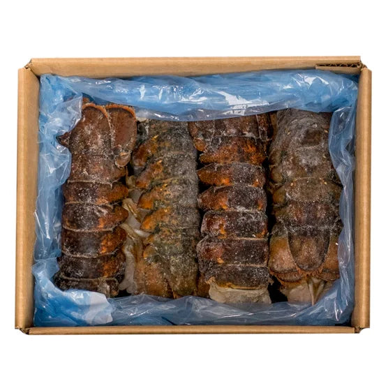 (Four Count) 10-12oz. Maine Lobster Tails