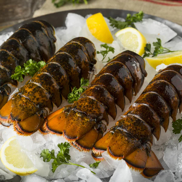 (Four Count) 12-14 oz. Maine Lobster Tails